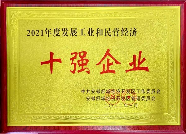 2021年度發展工業和民營經濟 十強企業 2021年度發展工業和民營經濟 十強企業
