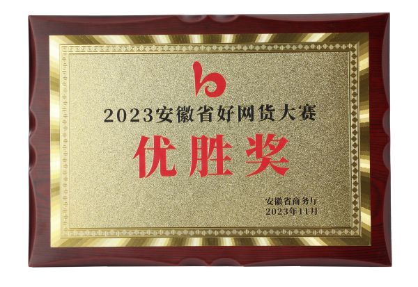 2023安徽省好網貨大賽 優勝獎