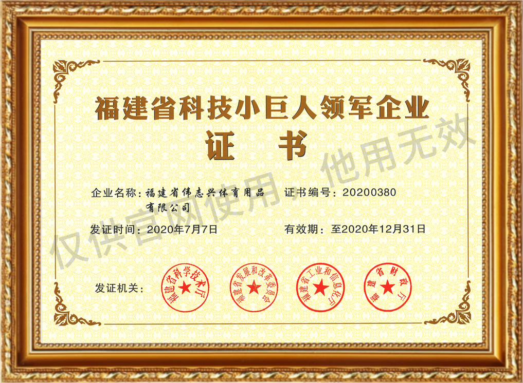 Fujian Province's Leading Technology Small Giant Enterprises Fujian Province's Leading Technology Small Giant Enterprises