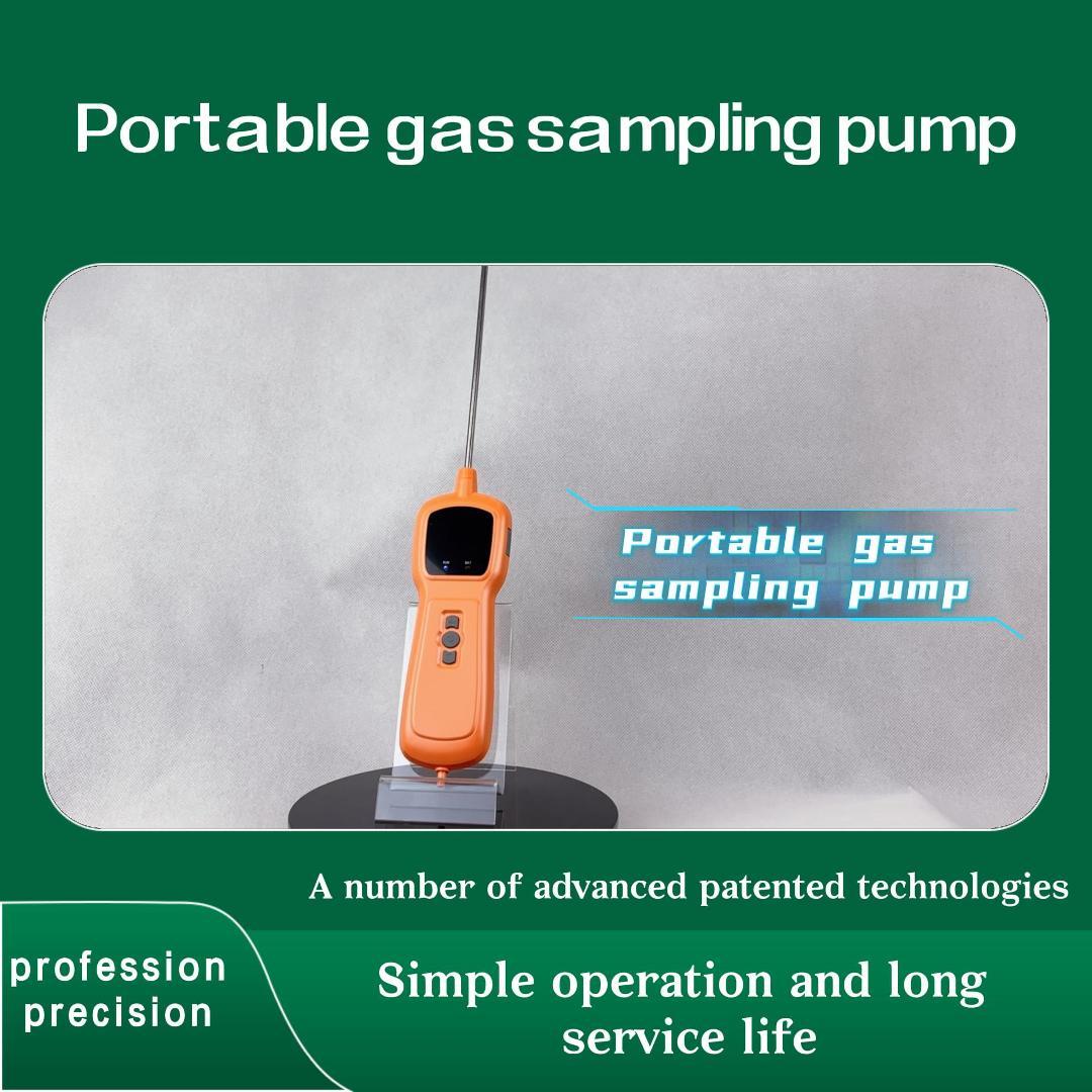 Portable gas sampling pump Portable gas sampling pump