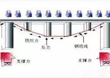 49图库官方平台