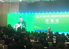 49图库官方平台