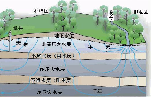 49图库官方平台