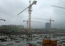 49图库官方平台