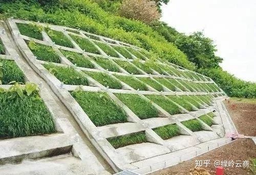 49图库官方平台