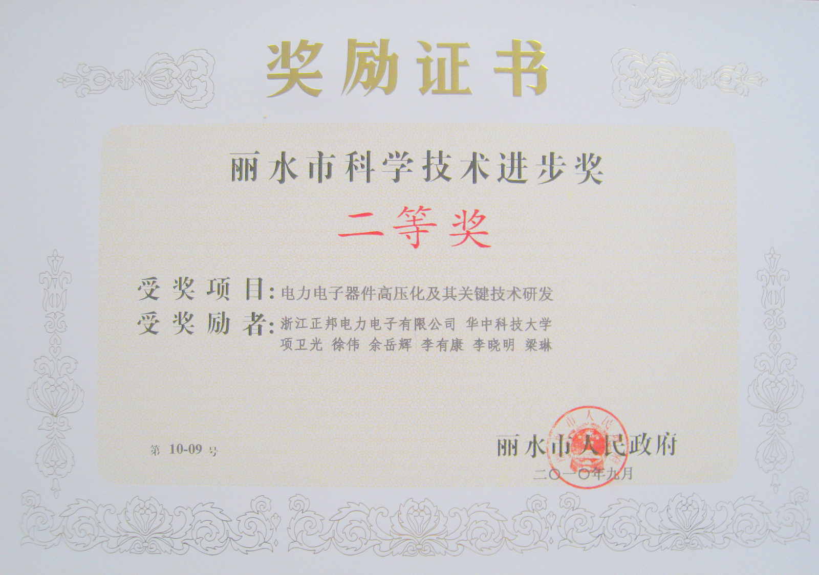 丽水市科学技术进步二等奖