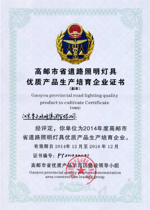 Certificate for Cultivating Enterprises Producing High-Quality Road Lighting Fixtures in Gaoyou City