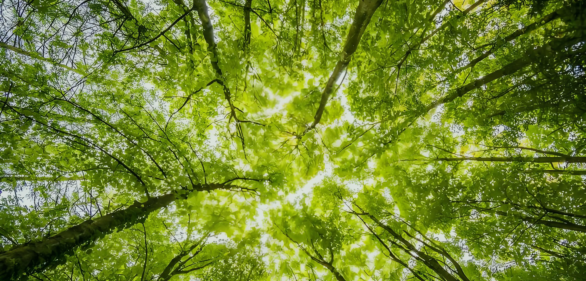 绿色制造