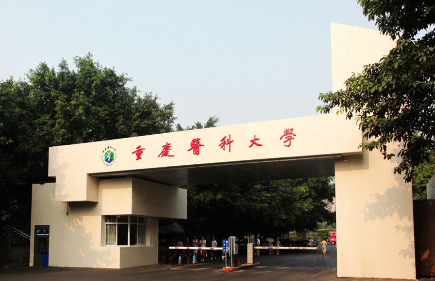 医学院2#路灯专用箱变配电工程 医学院2#路灯专用箱变配电工程