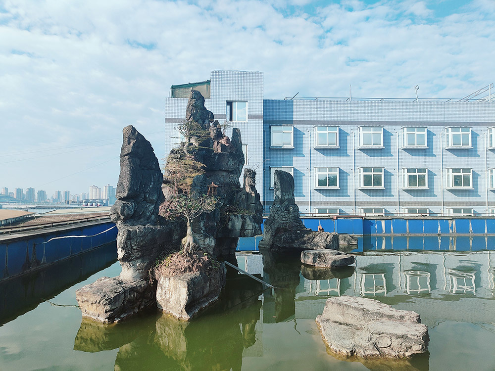 公司水池