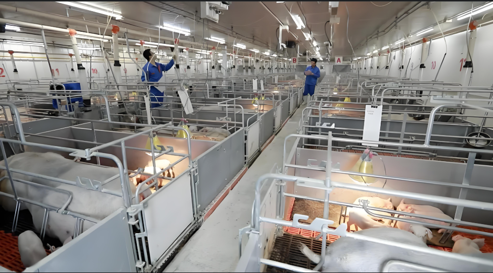 Modernizing Agriculture and Livestock Management