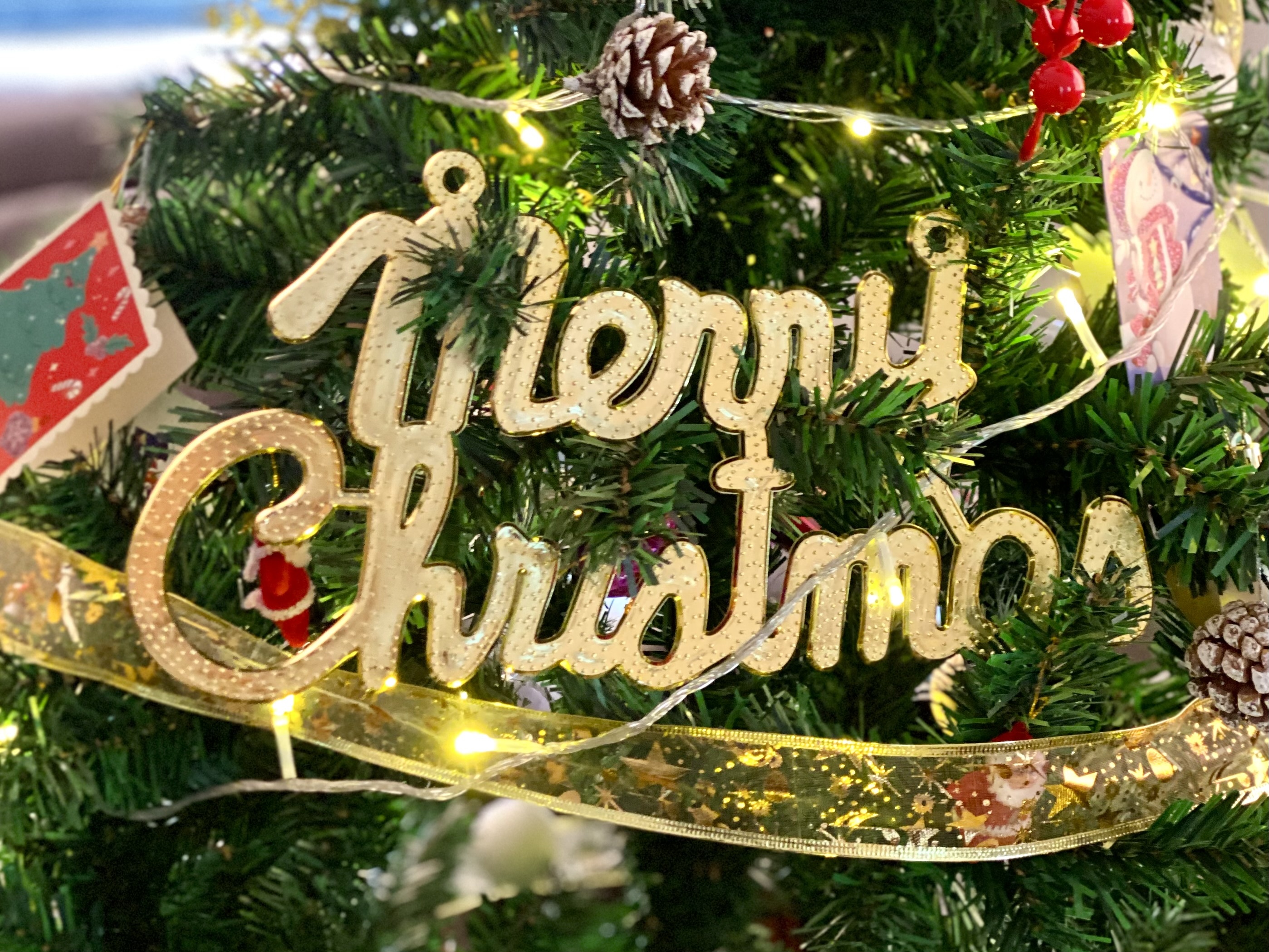 Merry Christmas