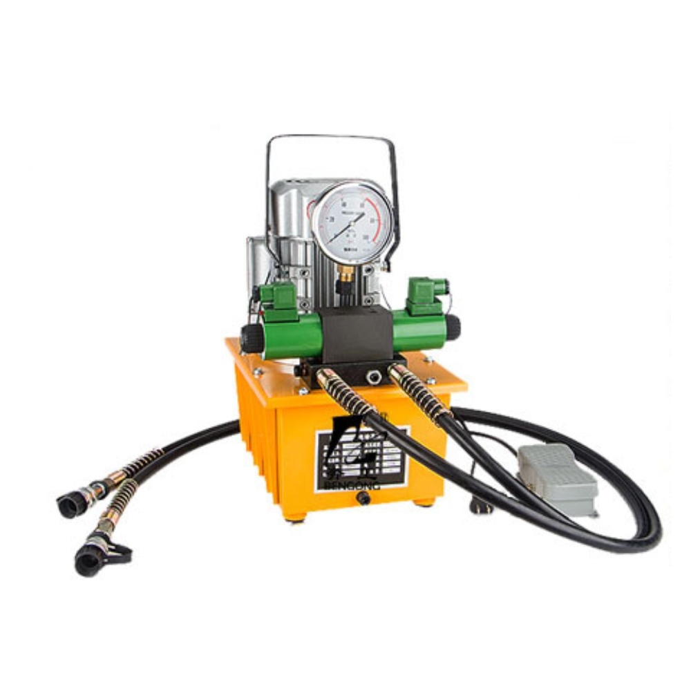 Double circuit electromagnetic pump