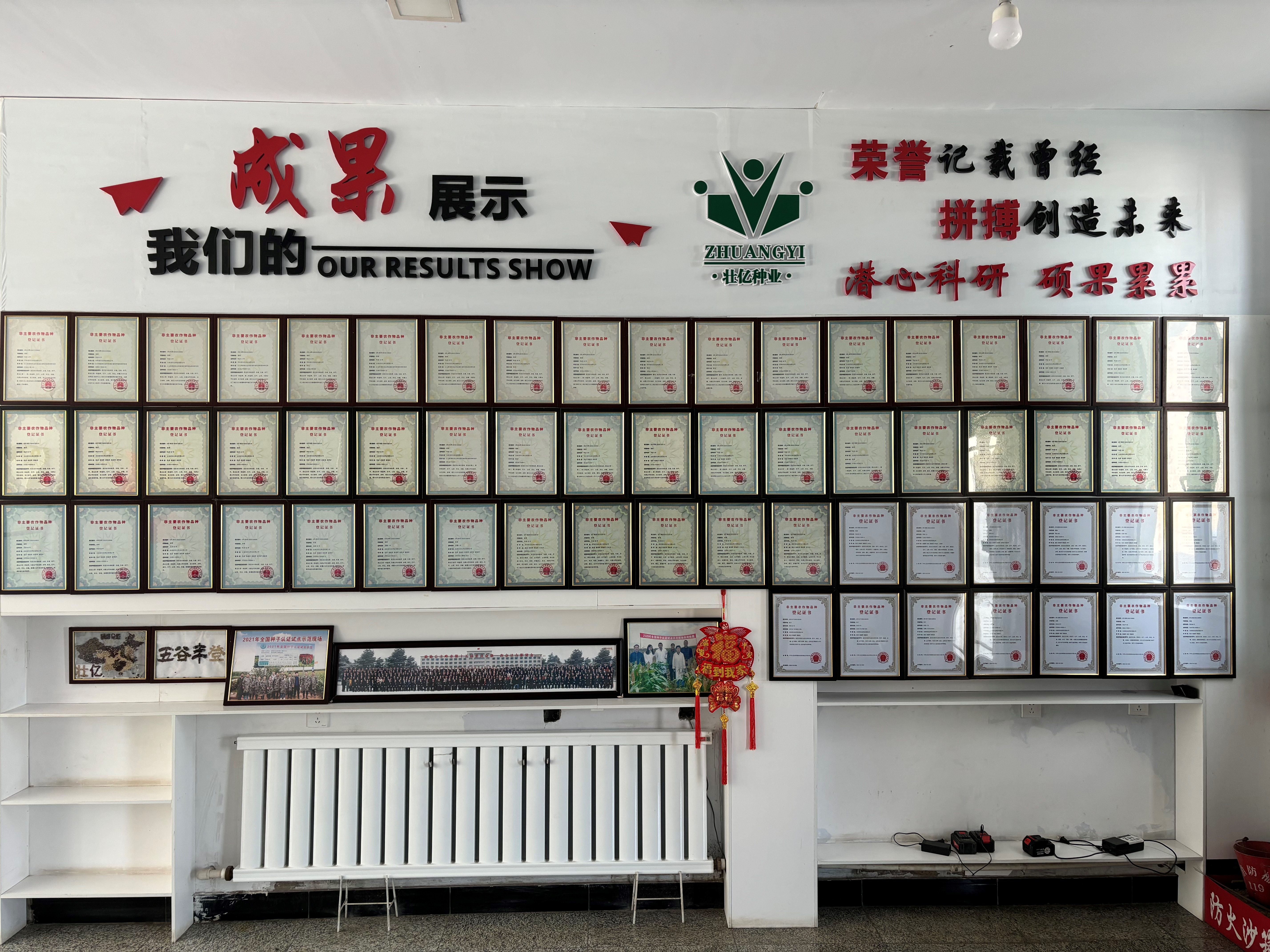 成果展示