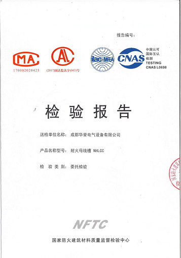 檢驗(yàn)報(bào)告