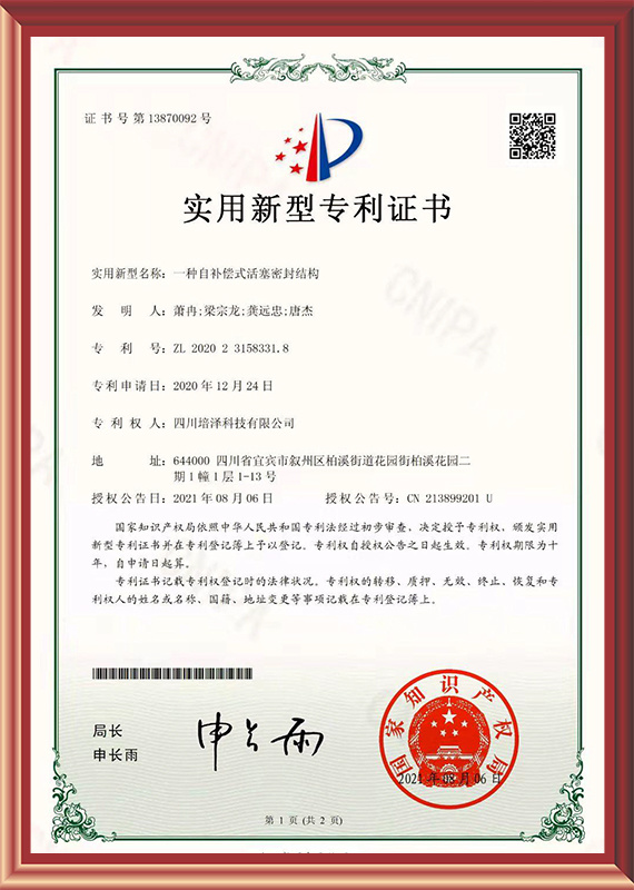 Self-compensating piston sealing structure patent Self-compensating piston sealing structure patent