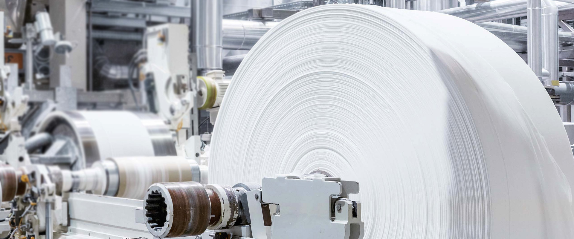 Shengwang Paper Products · Founded in 2002