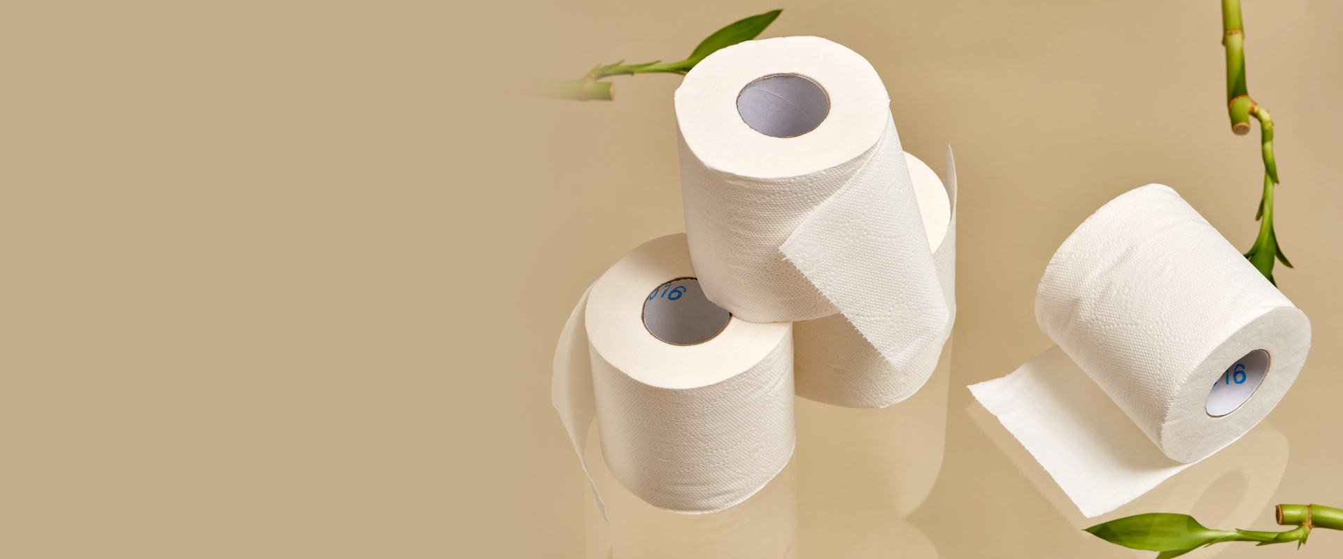 Shengwang Paper Products · Founded in 2002