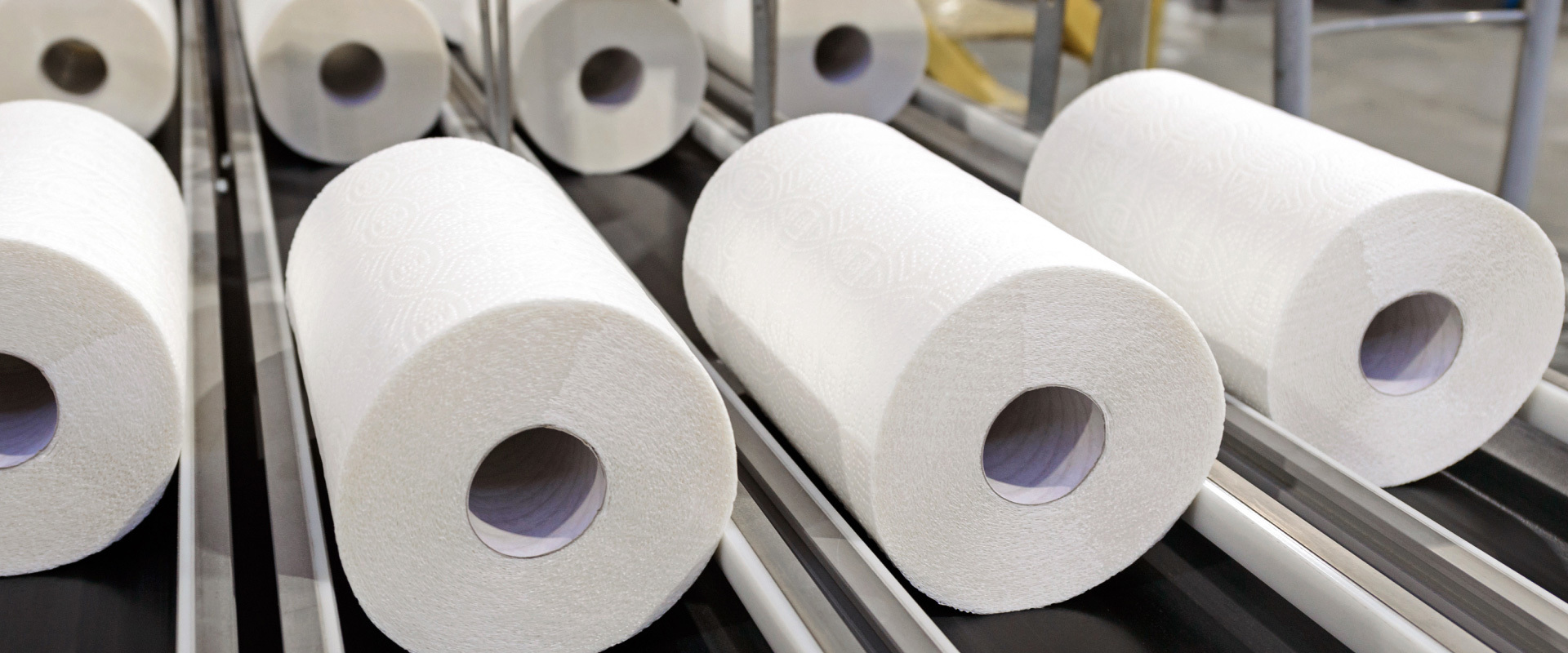 Shengwang Paper Products · Founded in 2002