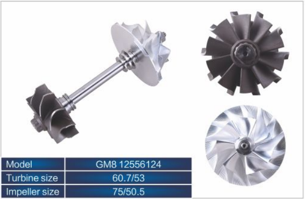 GM812556124
