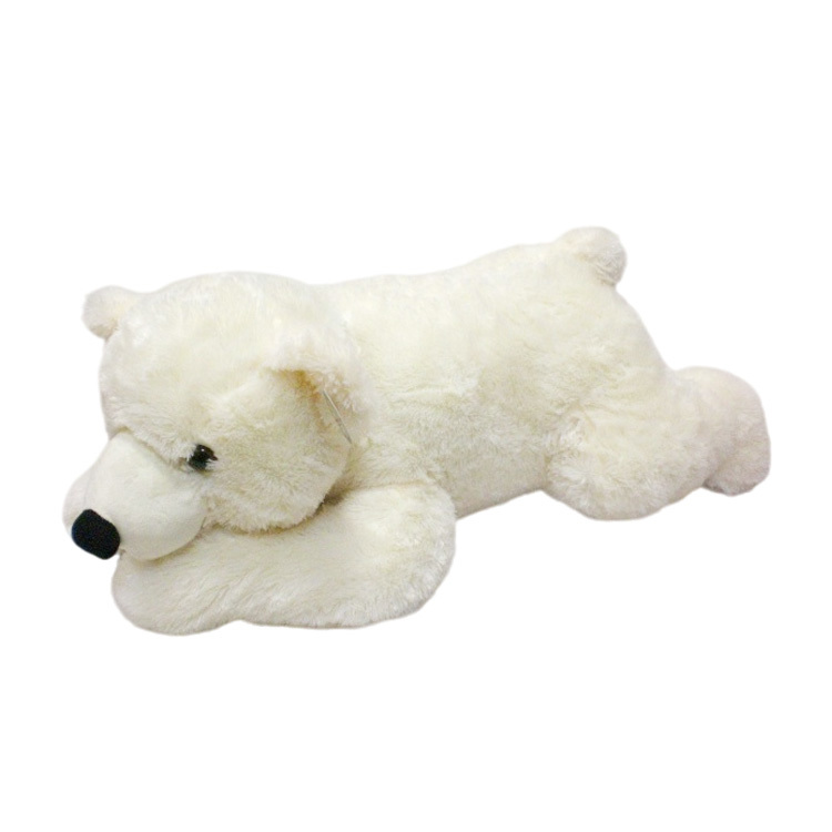 Bears