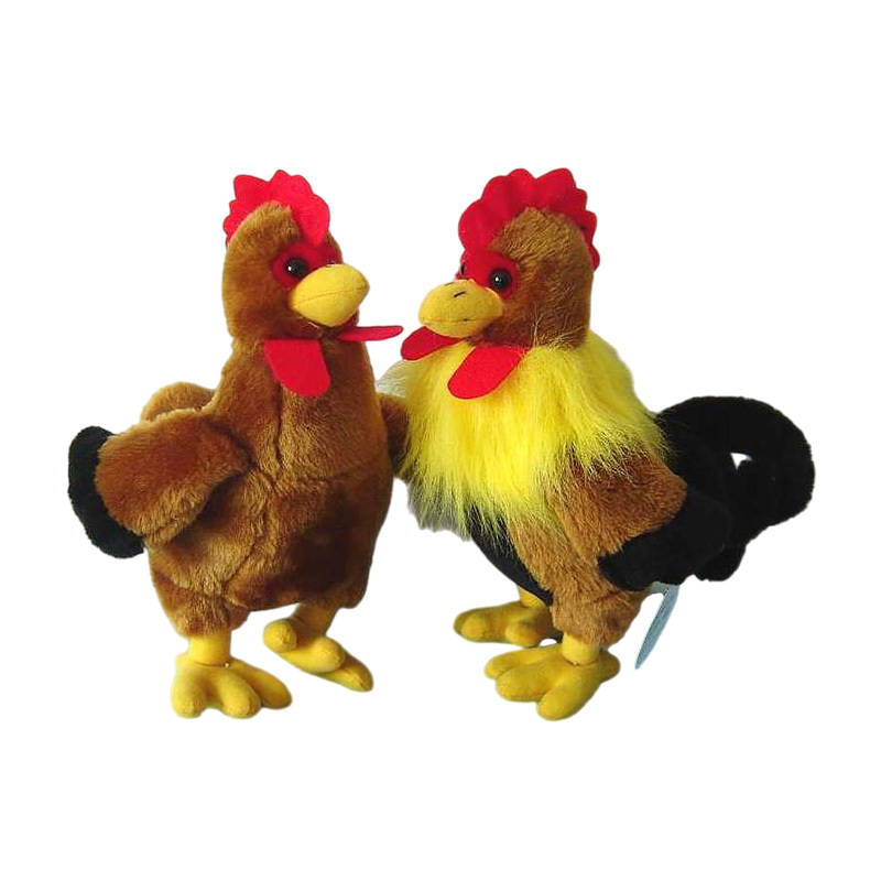Rooster