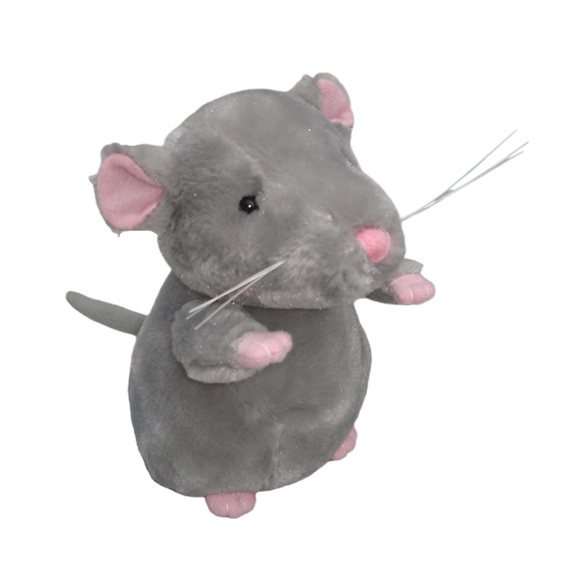 Rat