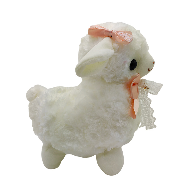 Sheep