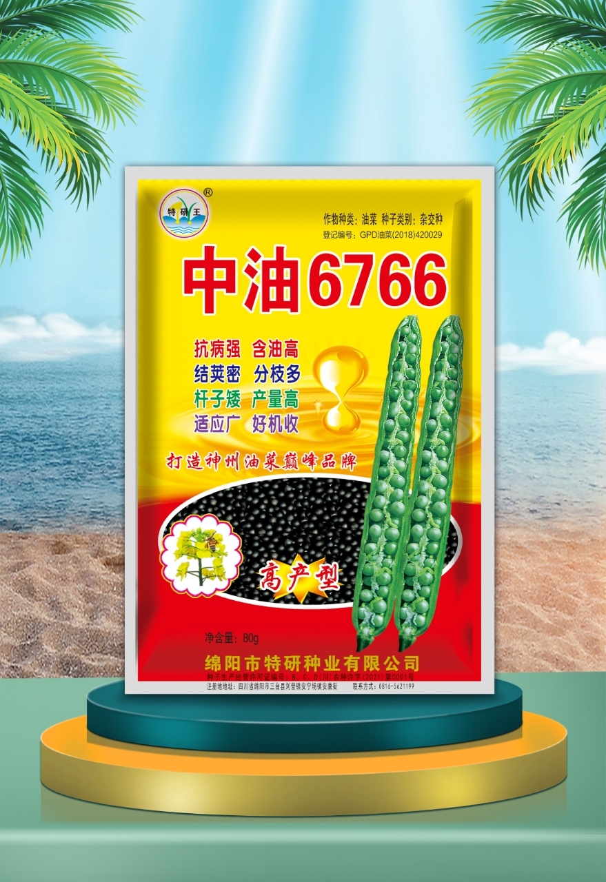 中油6766（80g袋装）