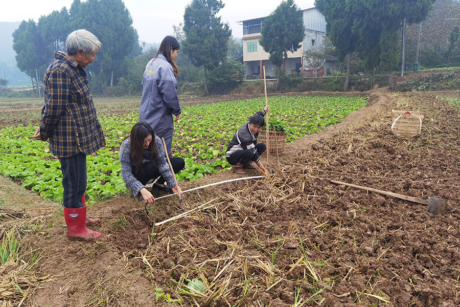 Field quality appraisal Field quality appraisal