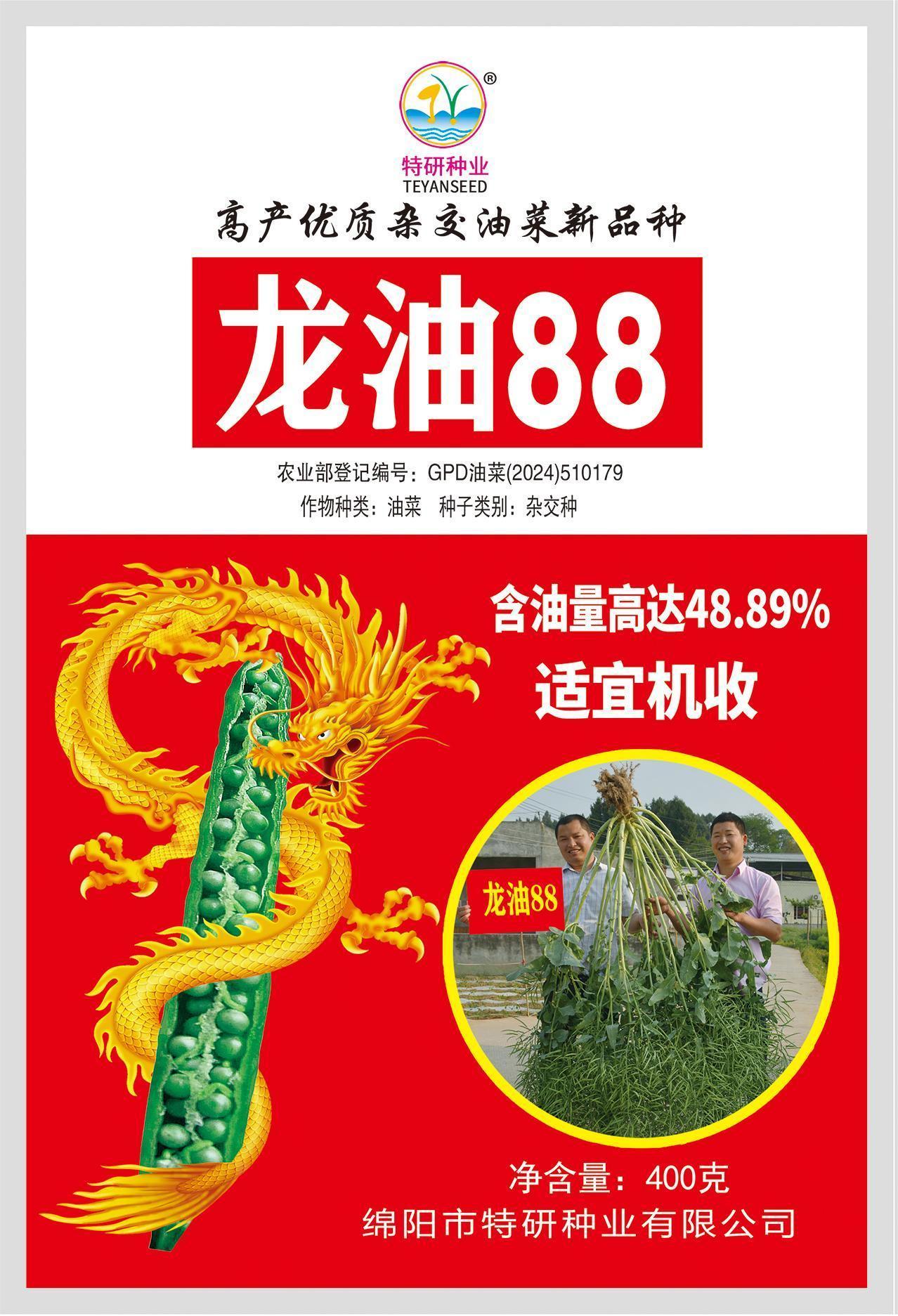 龙油88