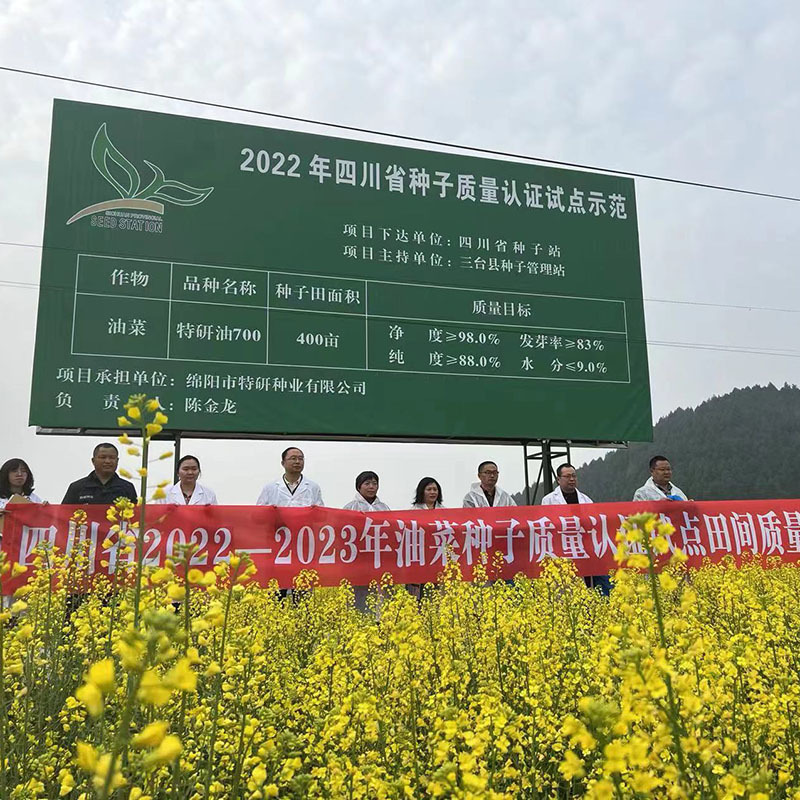 特研油700