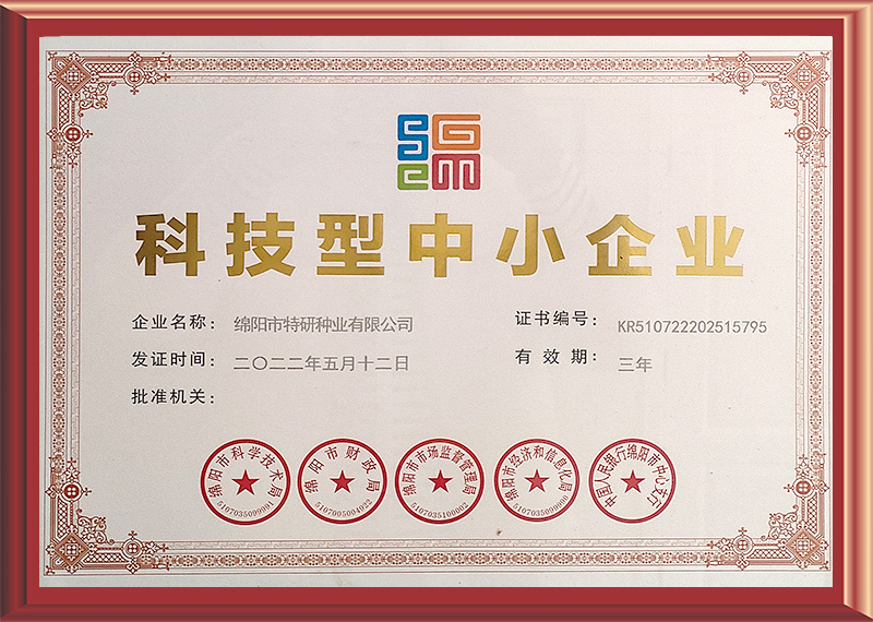 科技型中小企業(yè)