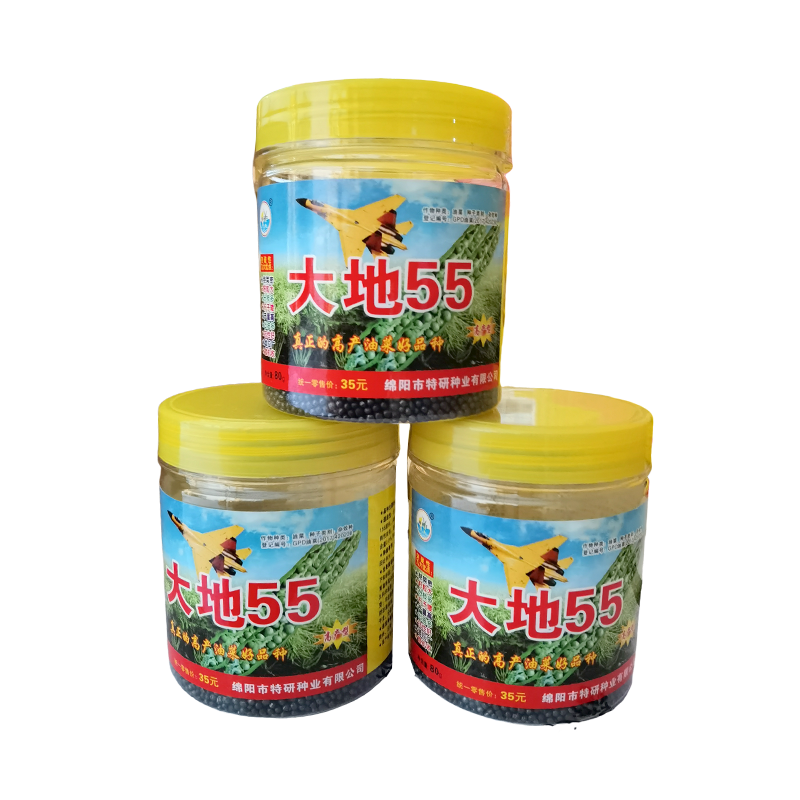 大地55