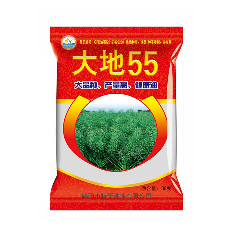 大地55