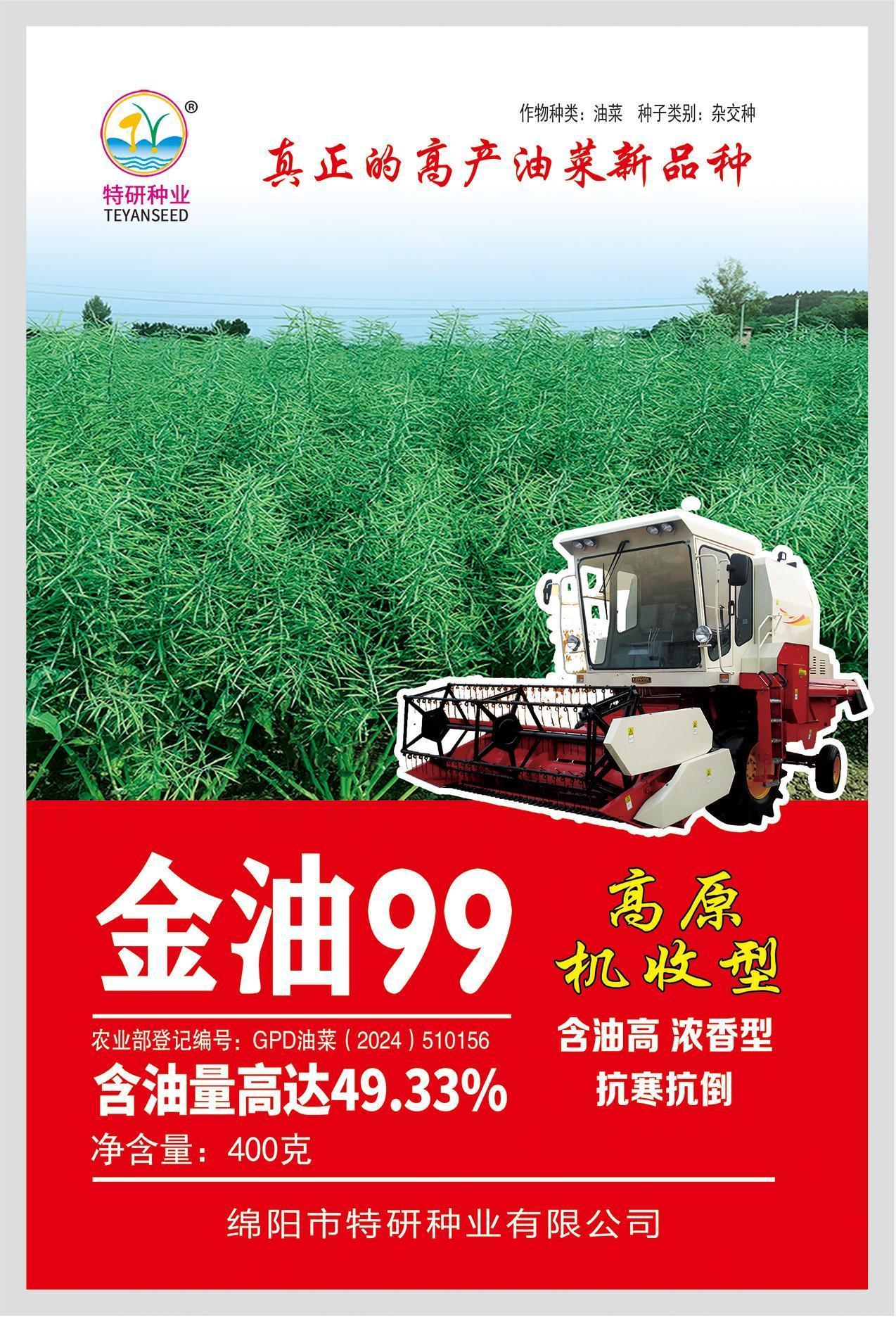 金油99