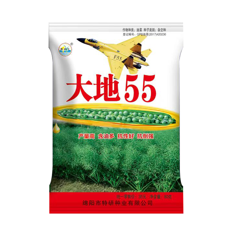 大地55