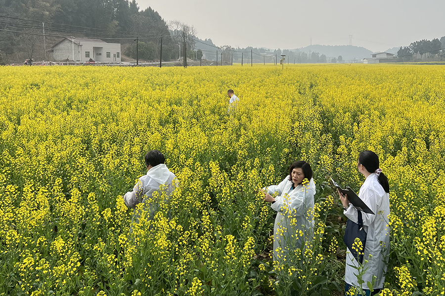 Field quality appraisal Field quality appraisal
