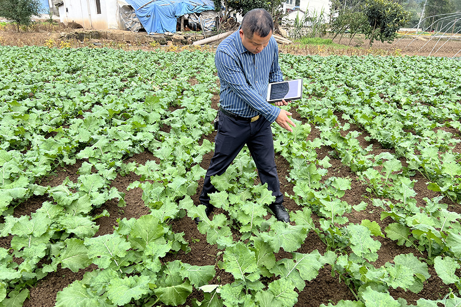 Field quality appraisal Field quality appraisal