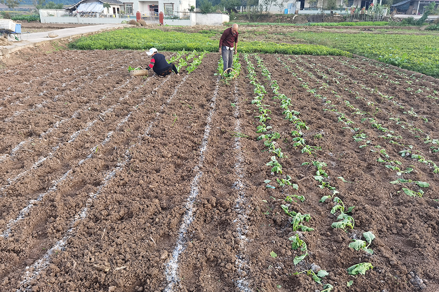 Field quality appraisal Field quality appraisal