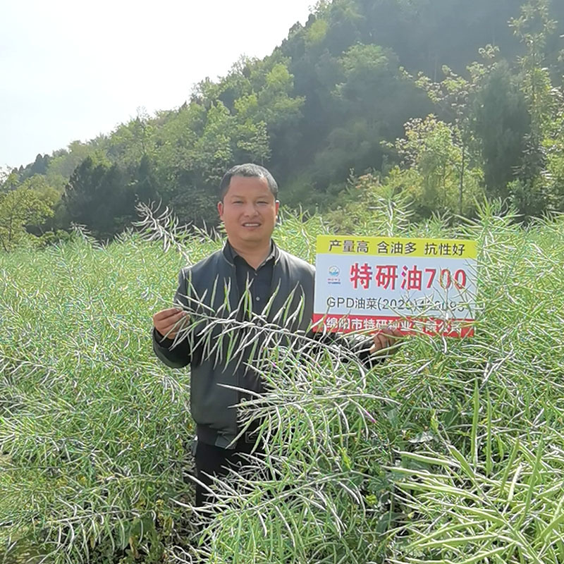 特研油700