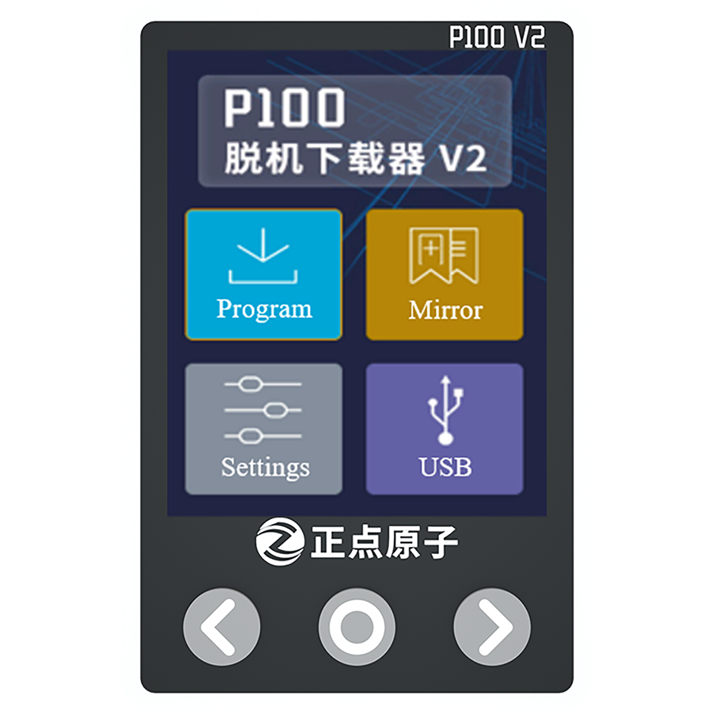 P100 Offline Downloader V2