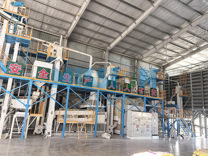 Seed Processing Plant Seed Processing Plant