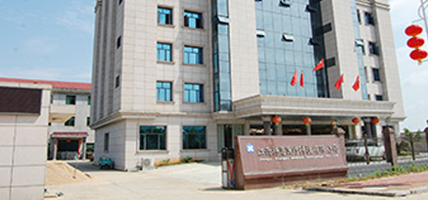 新闻资讯