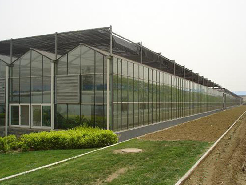 Glass greenhouse