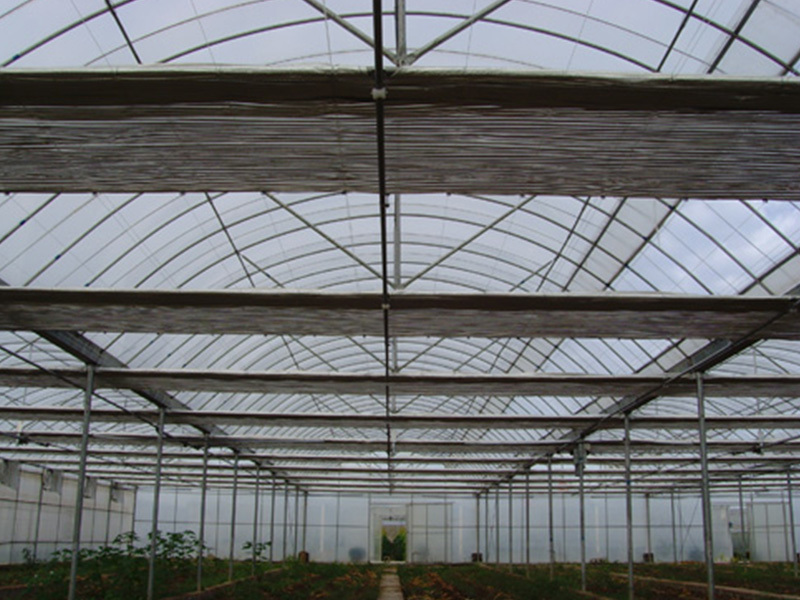 Multi-Span film greenhouse