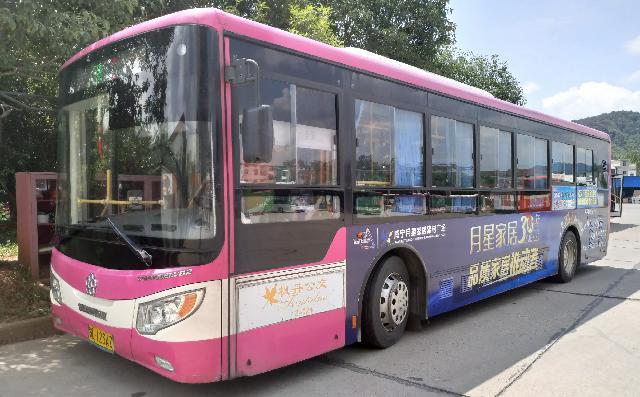 咸寧市楓丹公共交通控股有限公司成本信息