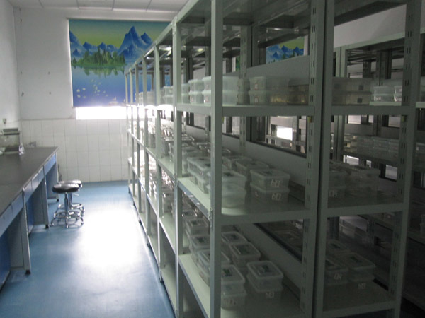 質(zhì)量把控