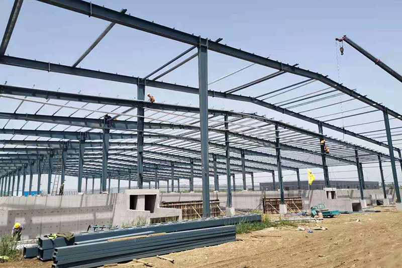 Agricultural Steel Structure Building