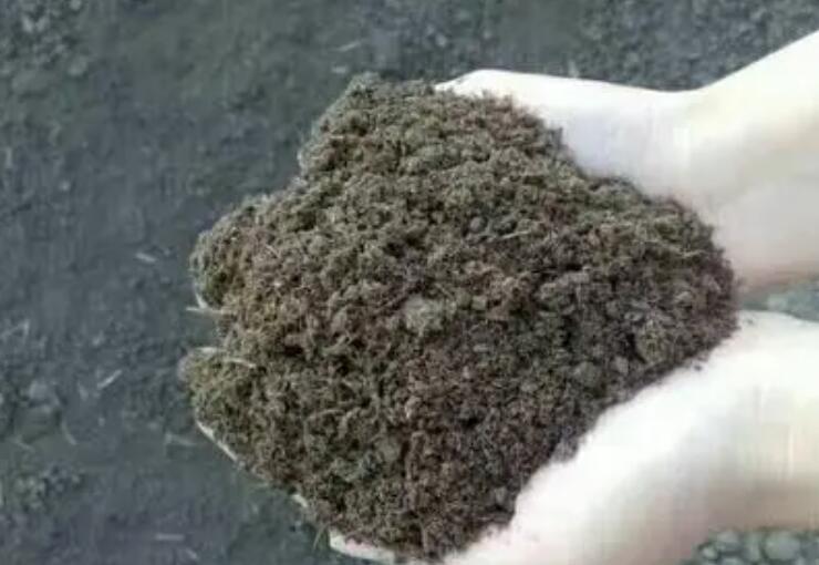 污泥糞便發(fā)酵劑的基本概述？